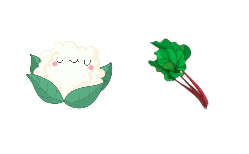 Chou fleur & rhubarbe
