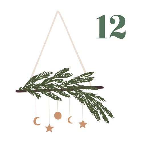 N°12 2023