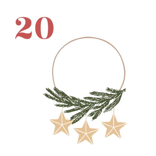 N°20 2023