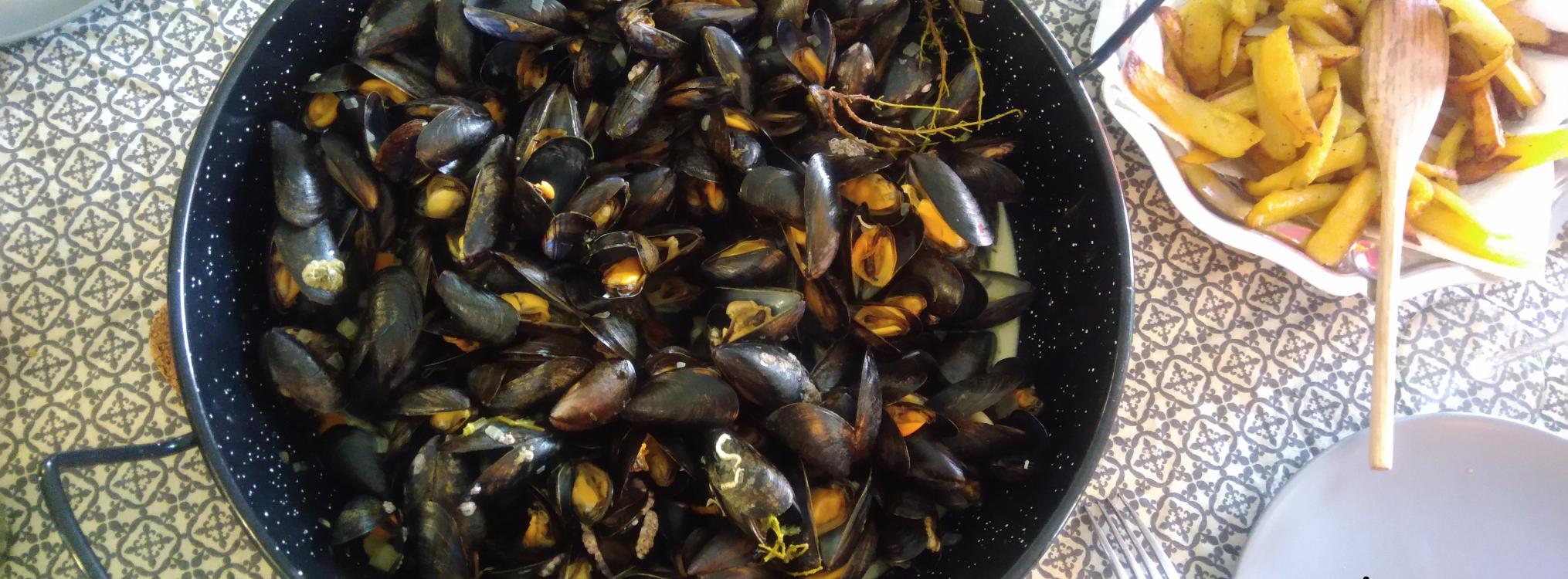 Moules sauce poulette...
